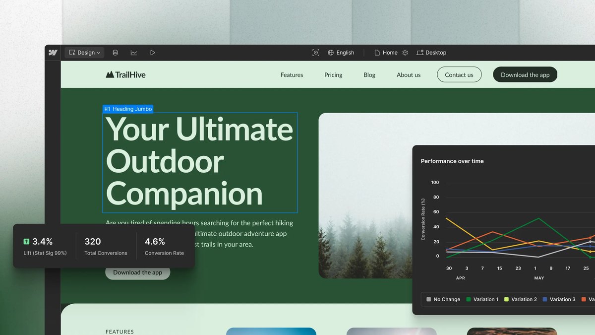 Webflow Optimize