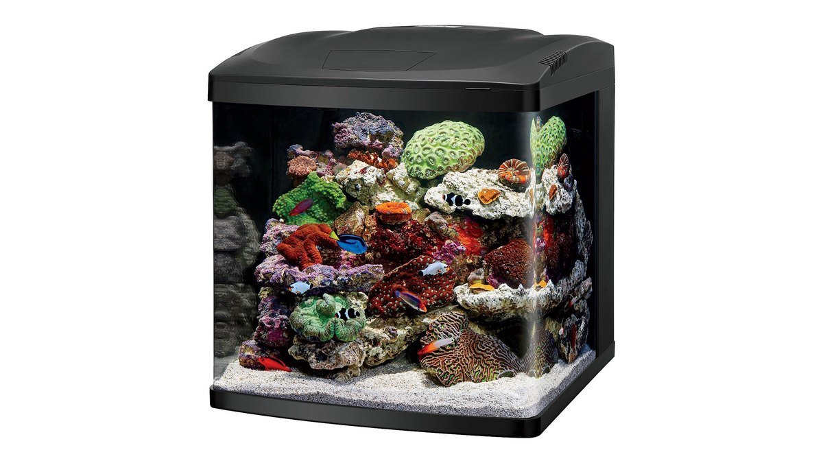 Coralife LED BioCube 32