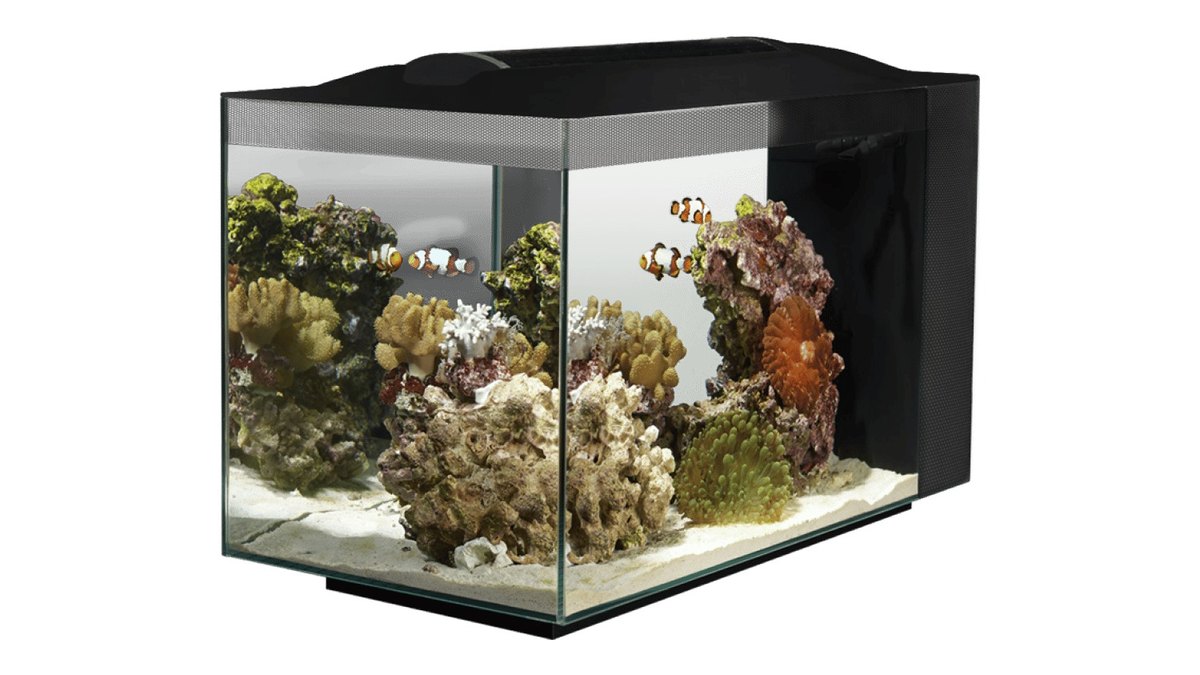 Fluval Evo 13.5