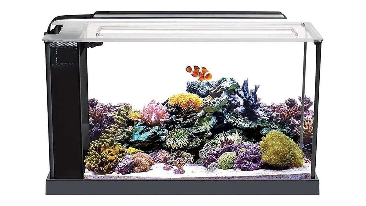 Fluval Evo 5