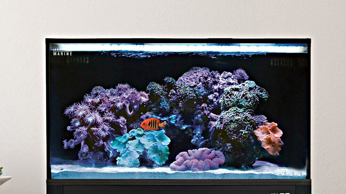 Innovative Marine NUVO Fusion Pro 2 20
