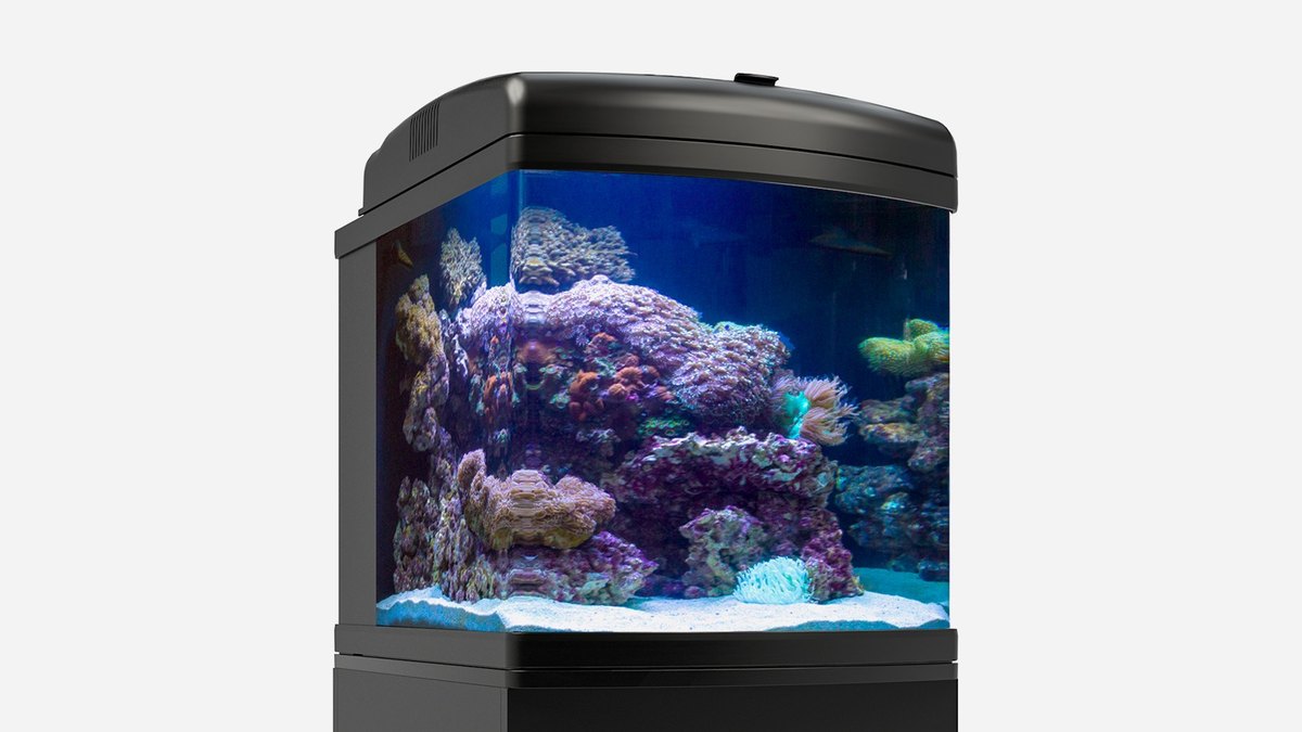 JBJ Nano-Cube WiFi 28