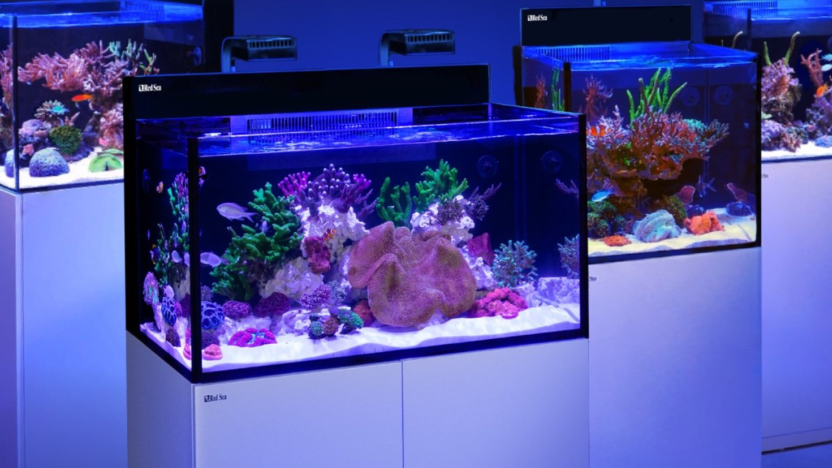 Red Sea MAX NANO G2 XXL