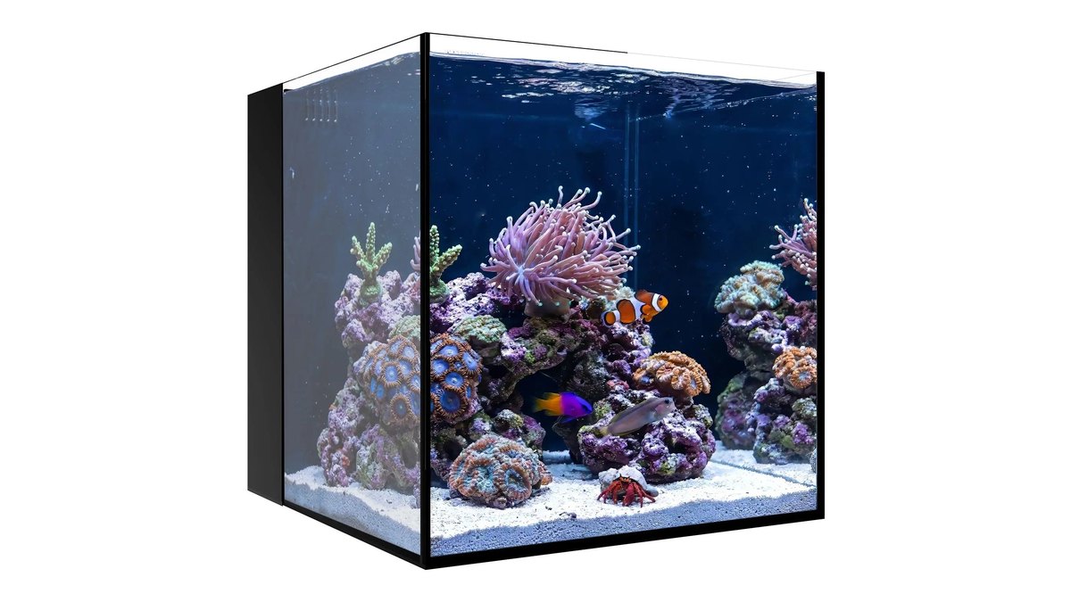Waterbox AIO 10 Cube