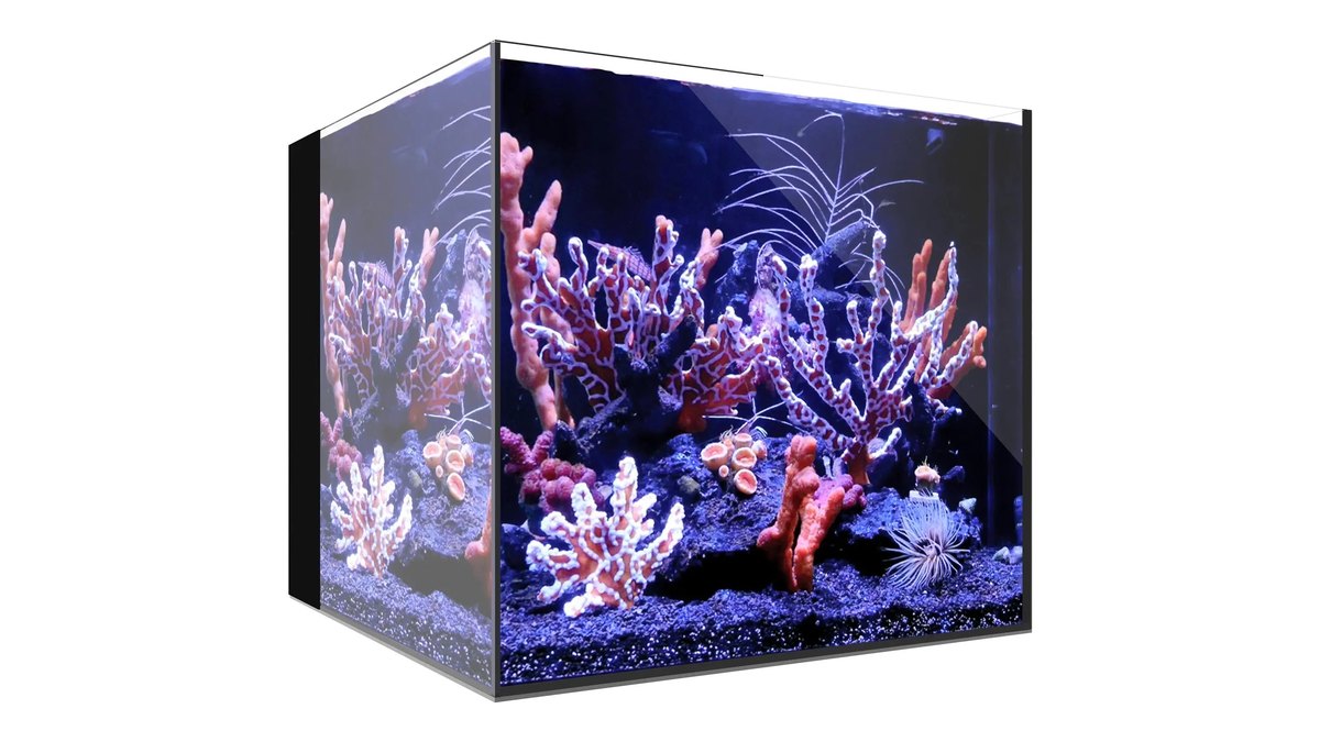 Waterbox AIO 20 Cube