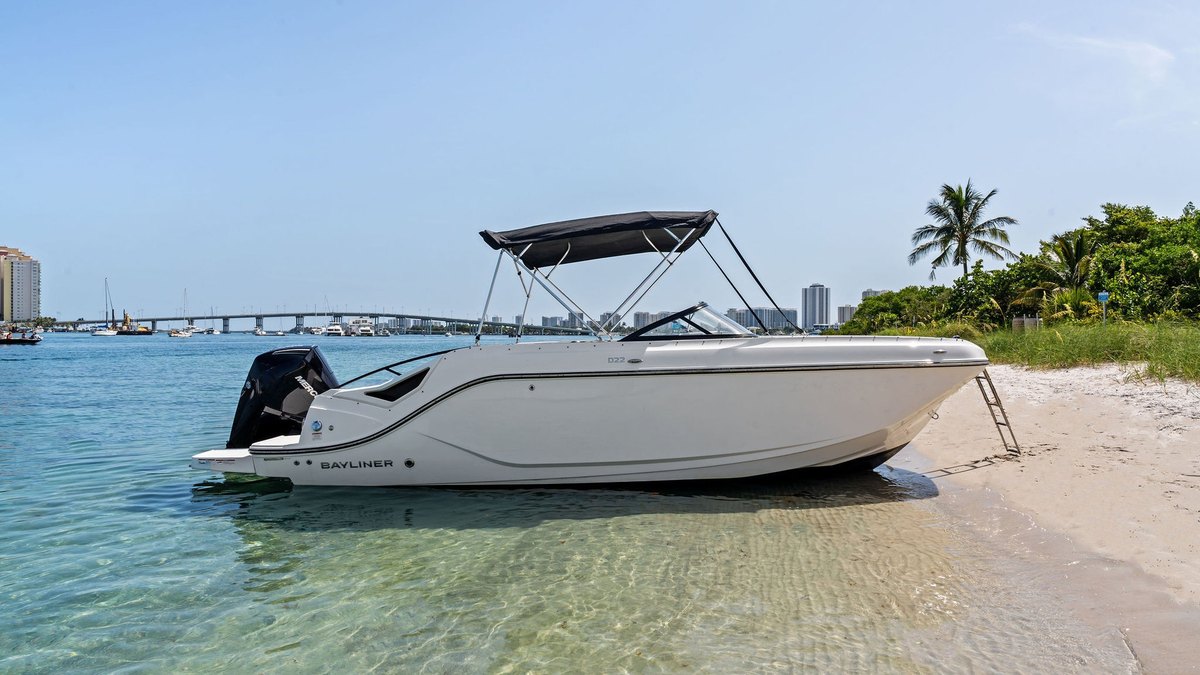 Bayliner D22