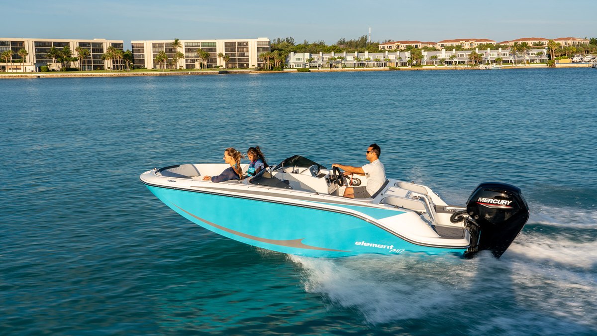 Bayliner M17