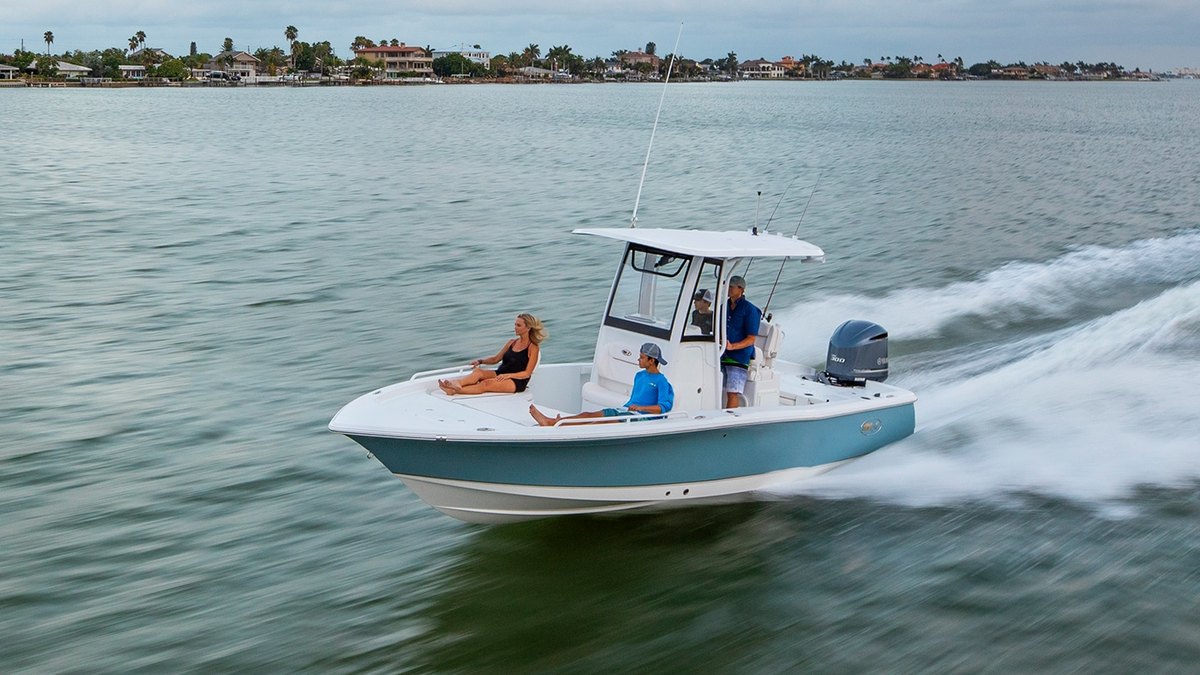 Sea Hunt BX 25 FS