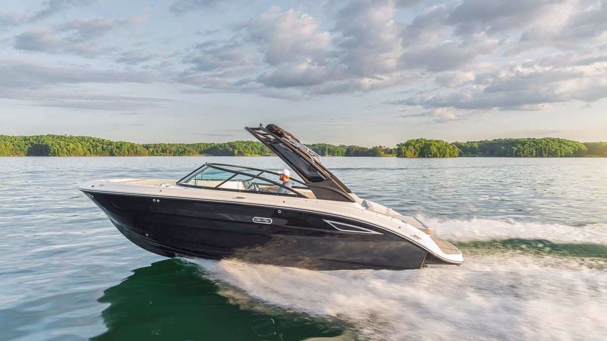 Sea Ray SDX 250