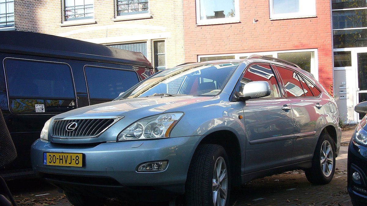 2009 Lexus RX (XU30)