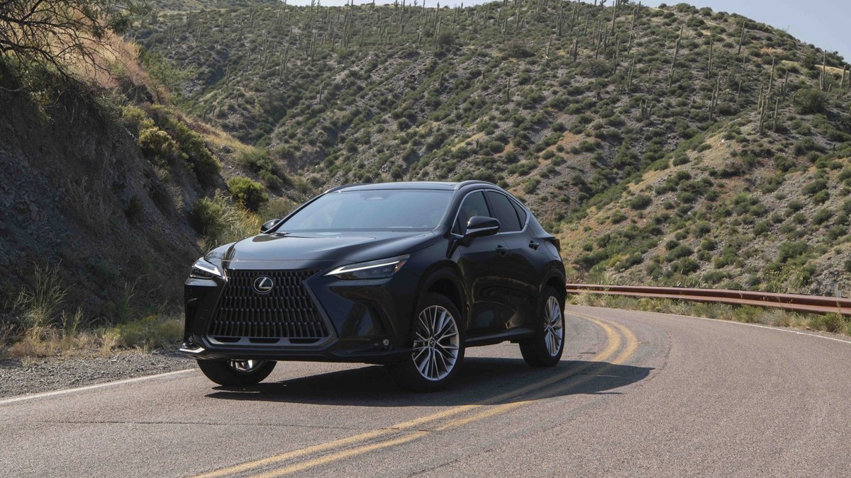 2025 Lexus NX 350 (AZ20)