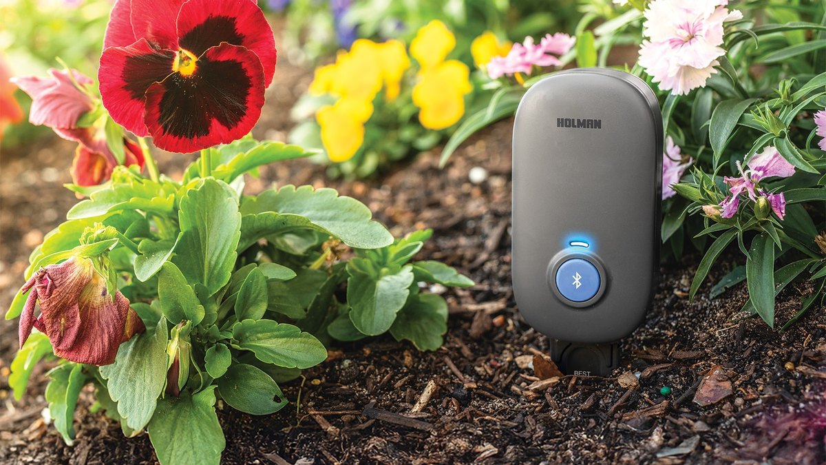 Holman ECHO Bluetooth Plant Sensor