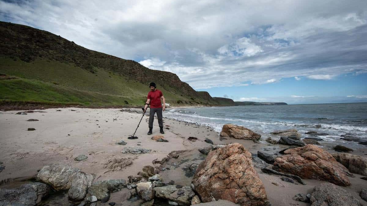 Minelab Equinox 900