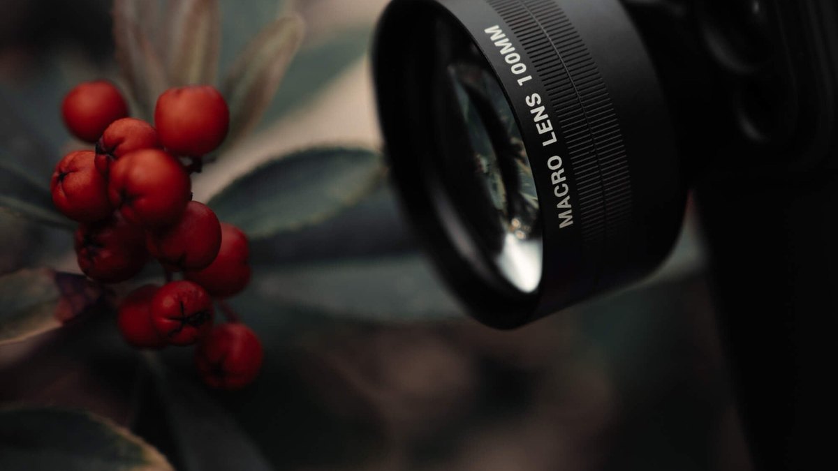 SANDMARC Macro 100mm Lens
