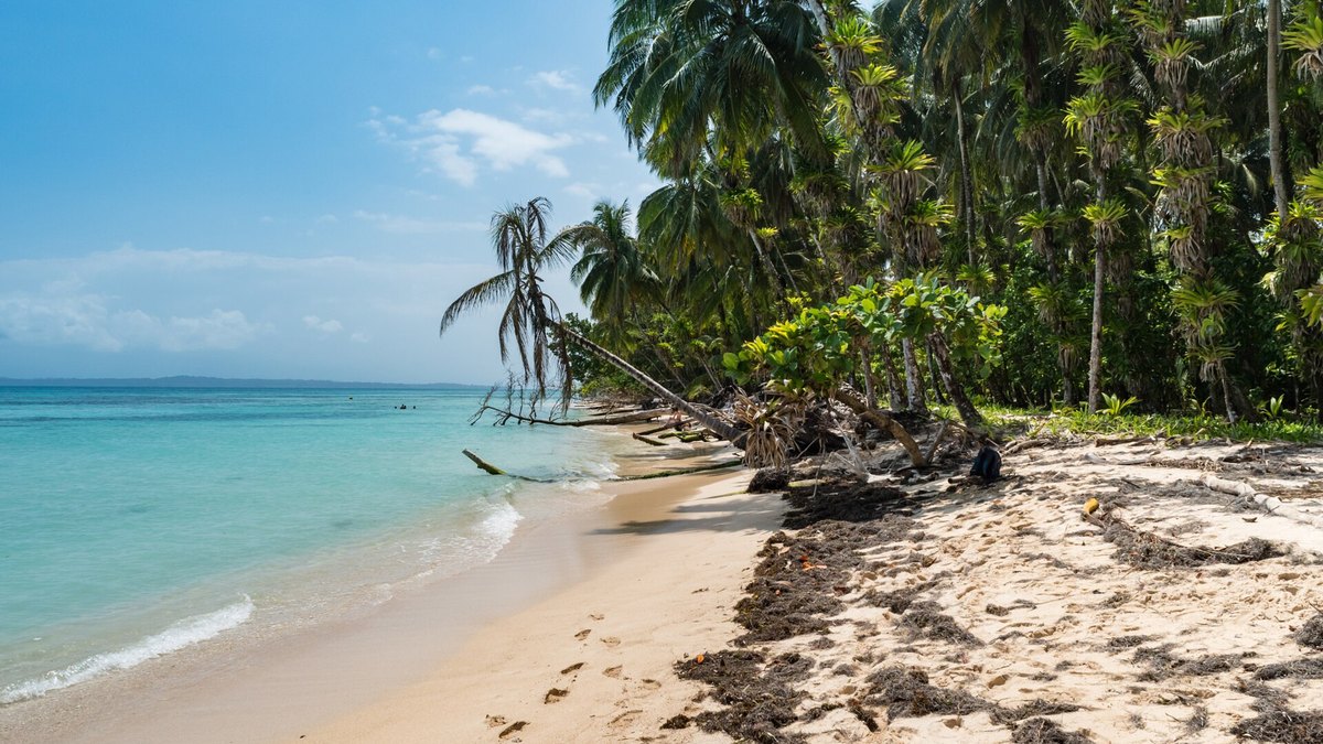 Panama (Bocas del Toro)