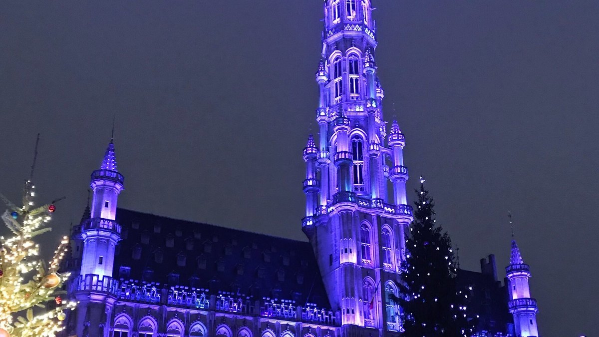 Brussels Winter Wonders