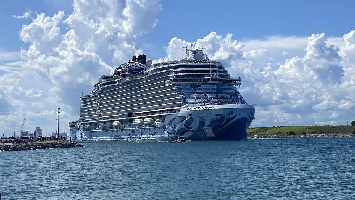 Cruise Travel Advisor Booking Share