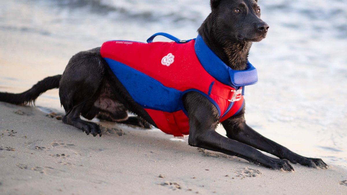 Canada Pooch High Tide Life Jacket