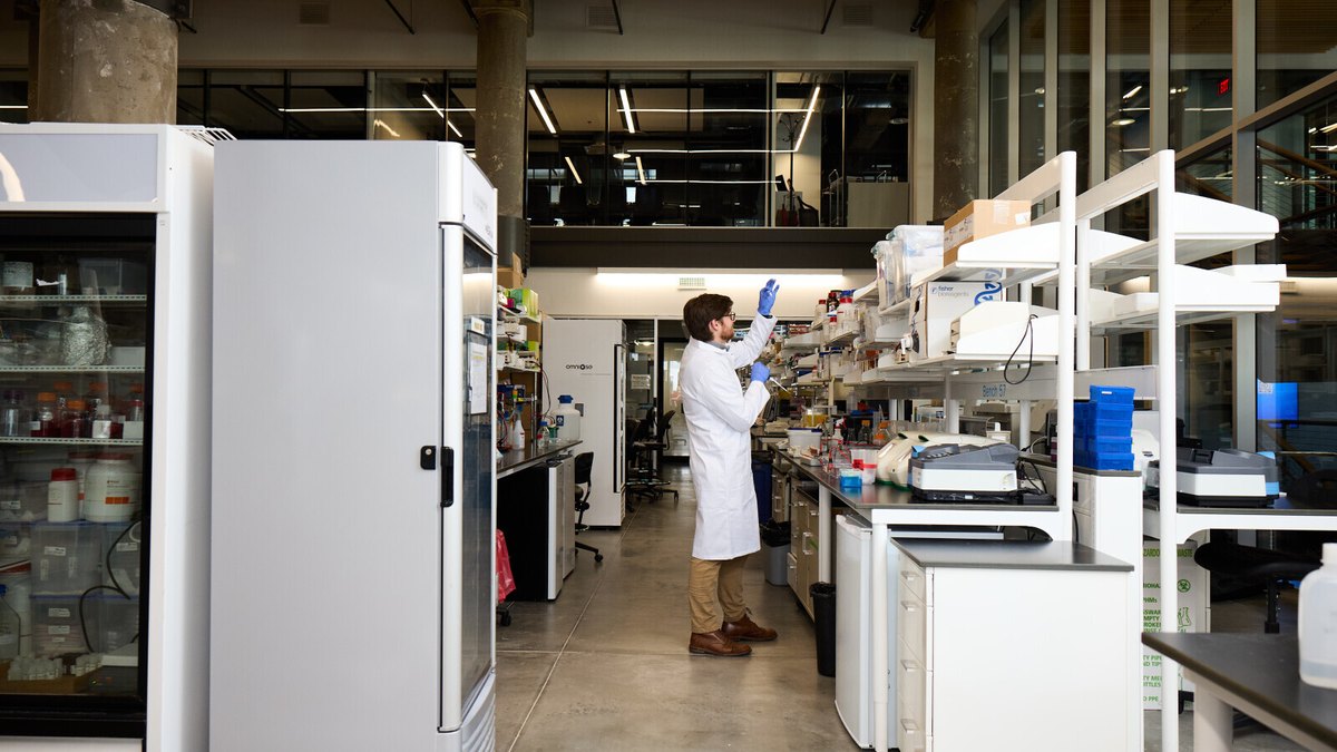 BioSTL
