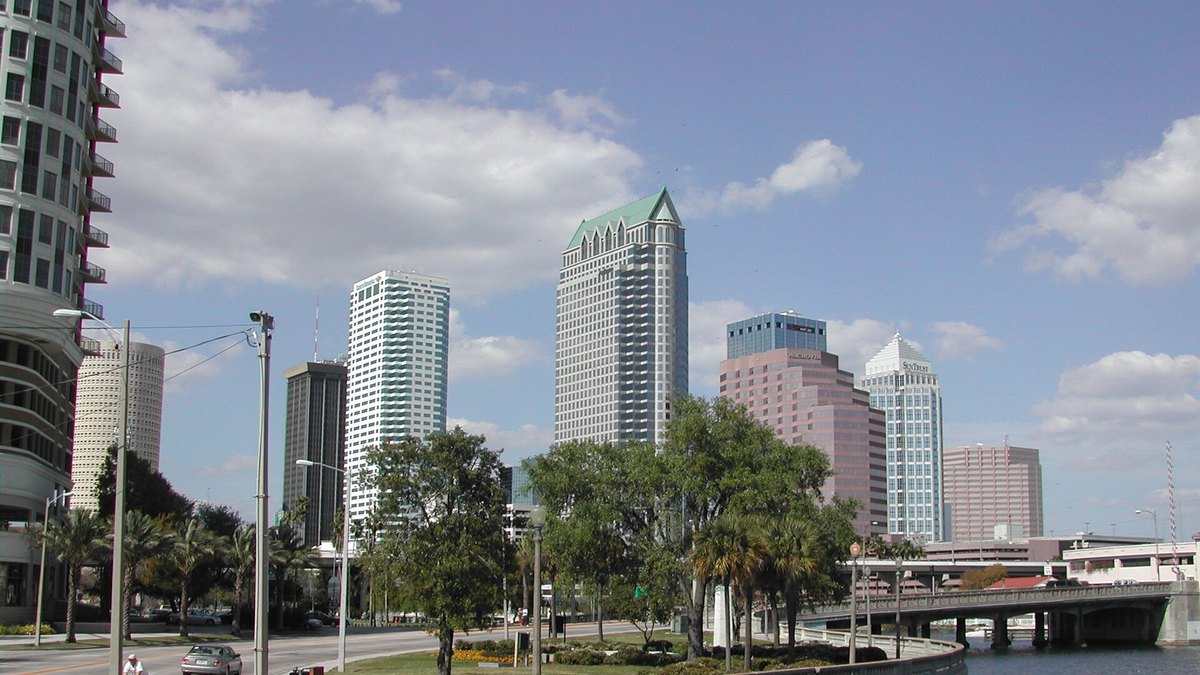 Blue Signal Tampa