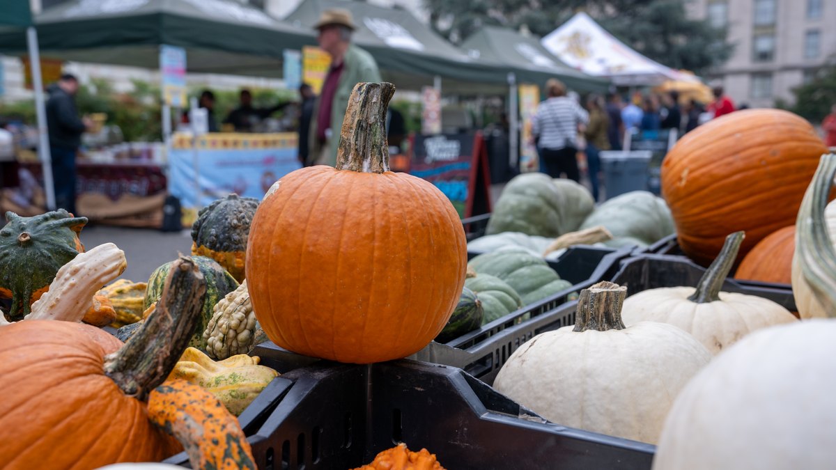 Vendors and shoppers at a farmers market, a real-world two-sided marketplace