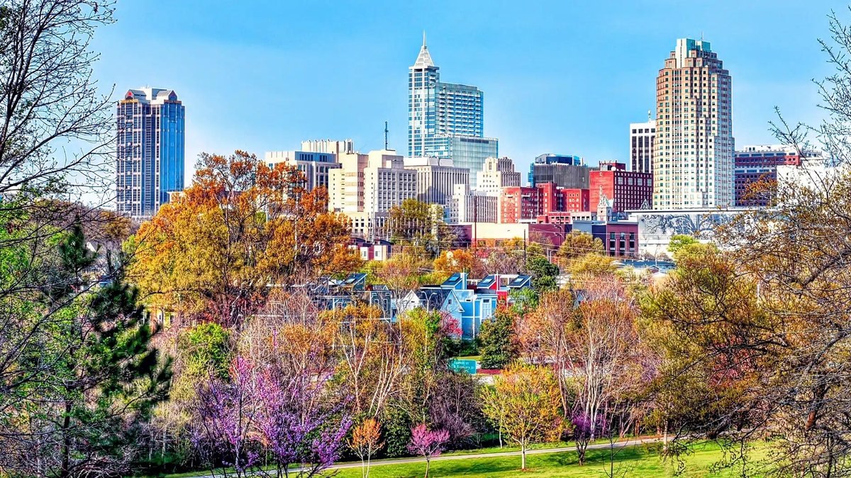 Vistage Raleigh