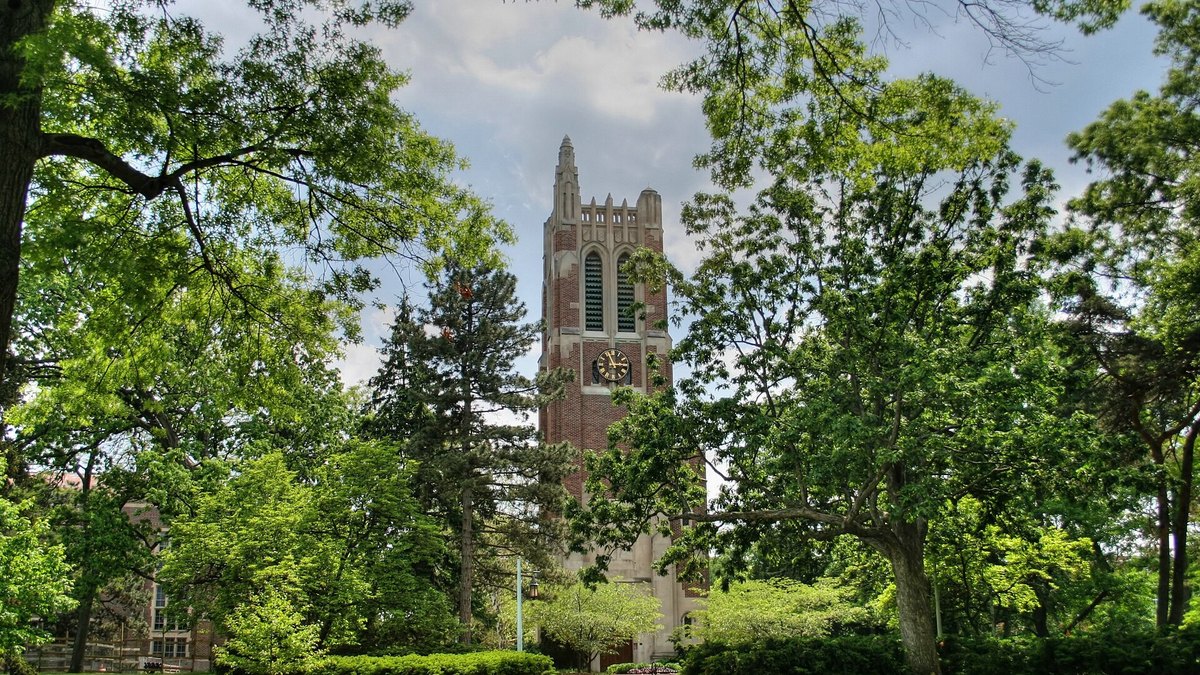 Michigan State University