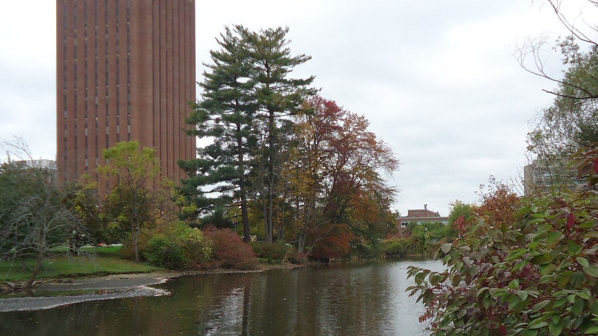 UMass Amherst Kinesiology