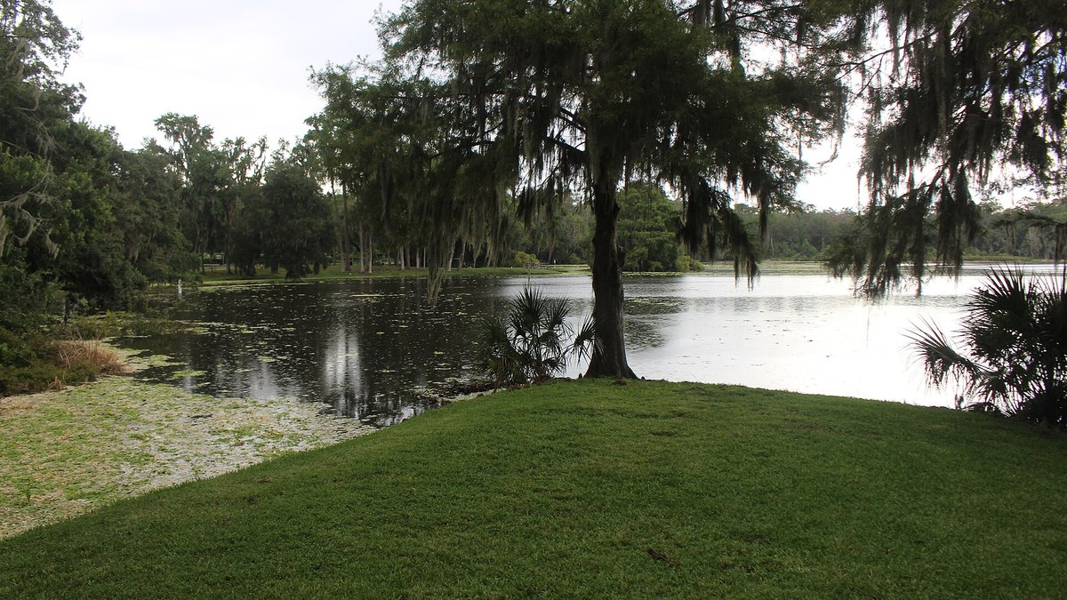 University of Florida