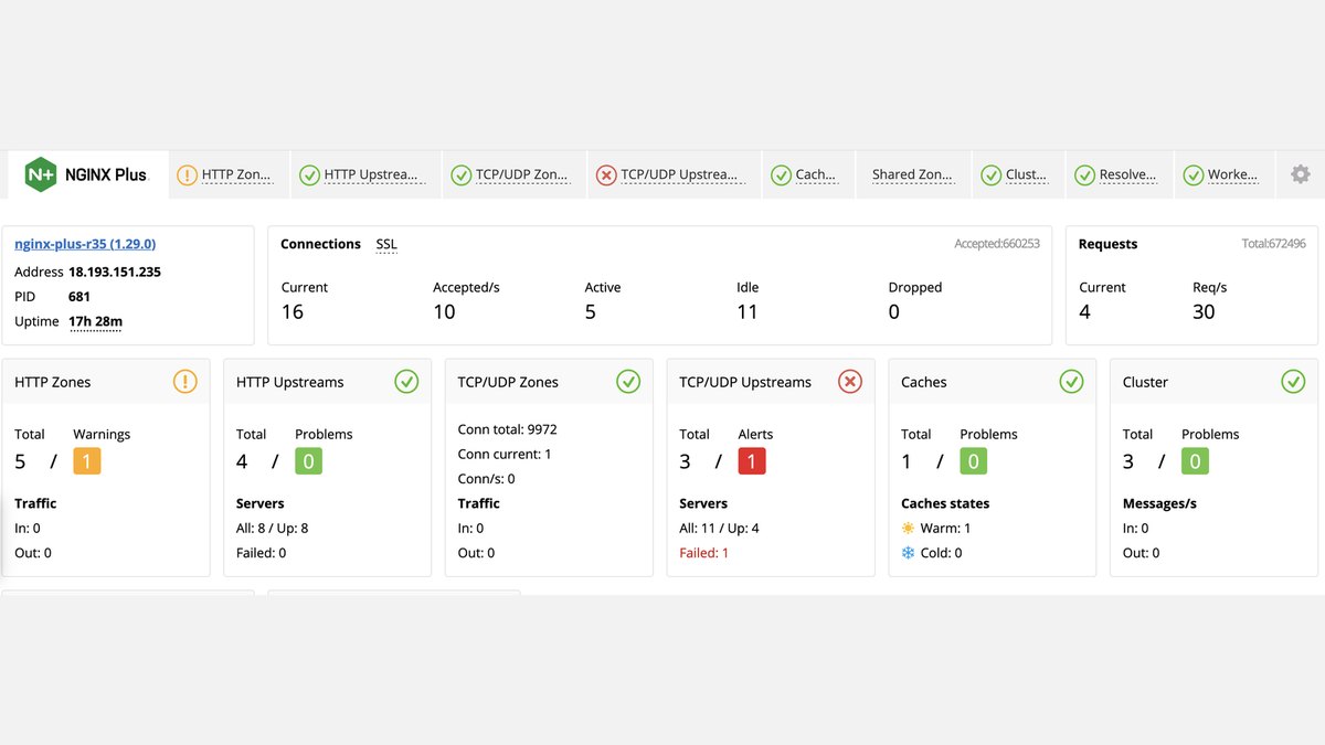 NGINX Plus