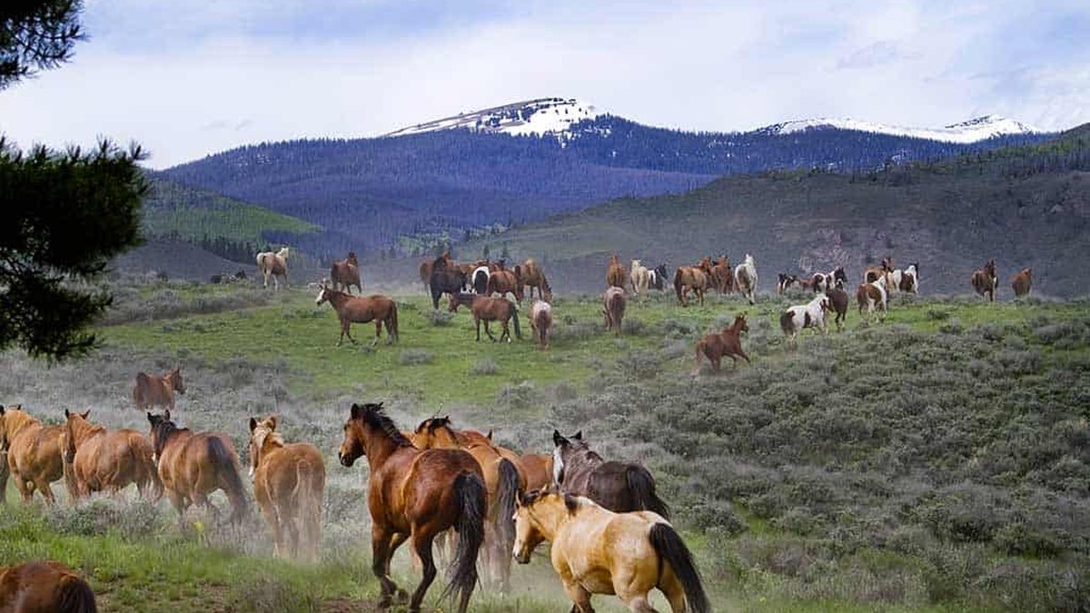 C Lazy U Ranch, Granby, Colorado